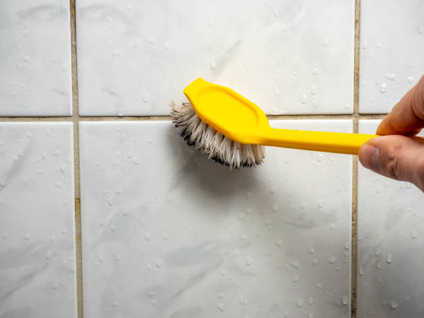 Best Toxic Mold Removal  in Ciborne, LA
