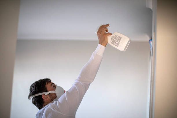 Best Office Mold Removal Services  in Ciborne, LA