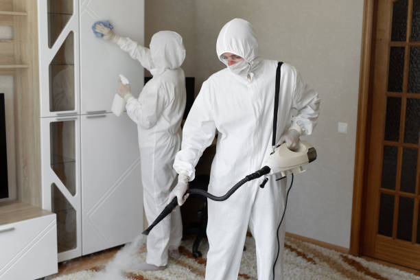 Best Home Mold Removal  in Ciborne, LA