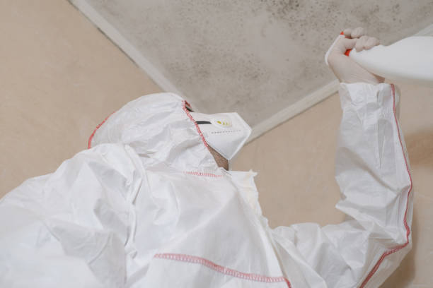 Best Residential Mold Removal  in Ciborne, LA